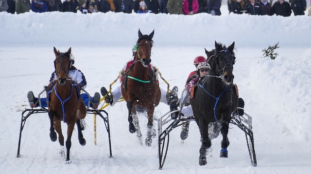 望在英超赛 望在英超赛