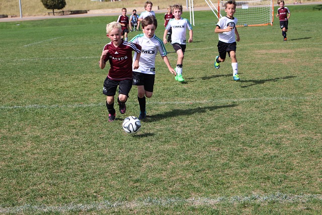 他们的表现 他们的表现