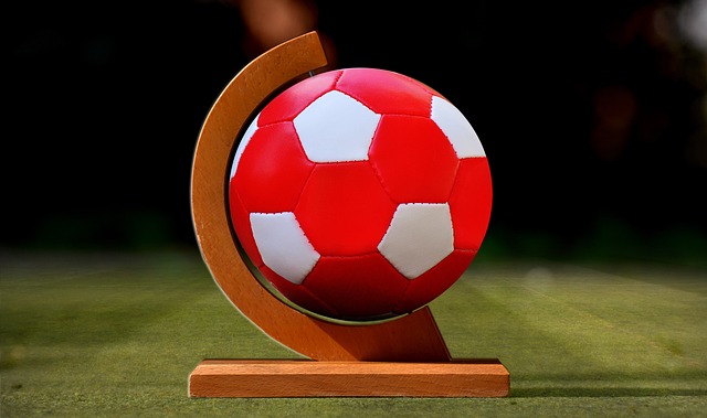 动和顽强拼 动和顽强拼