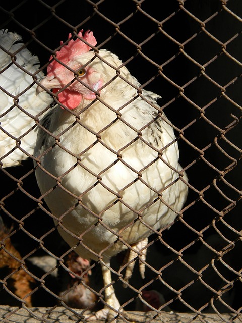 入新的发展 入新的发展