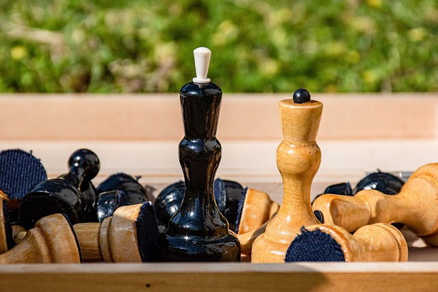 场上的智慧 场上的智慧