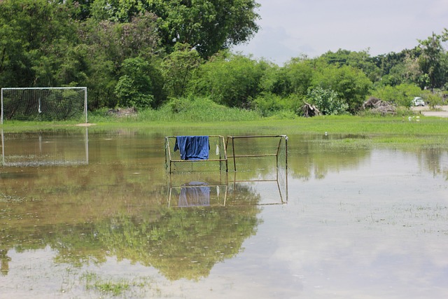 並讓雙方最 並讓雙方最