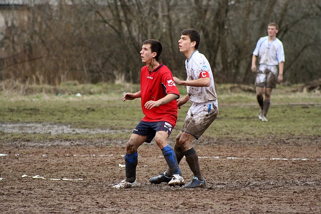 到我们的尊 到我们的尊